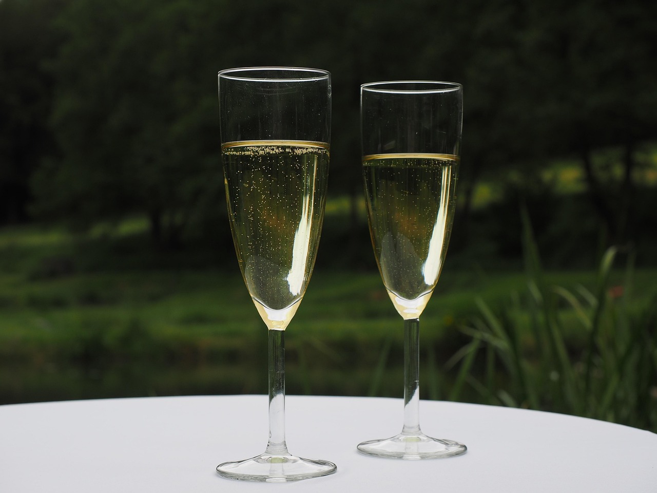 Nyetimber Blanc de Blanc 2013