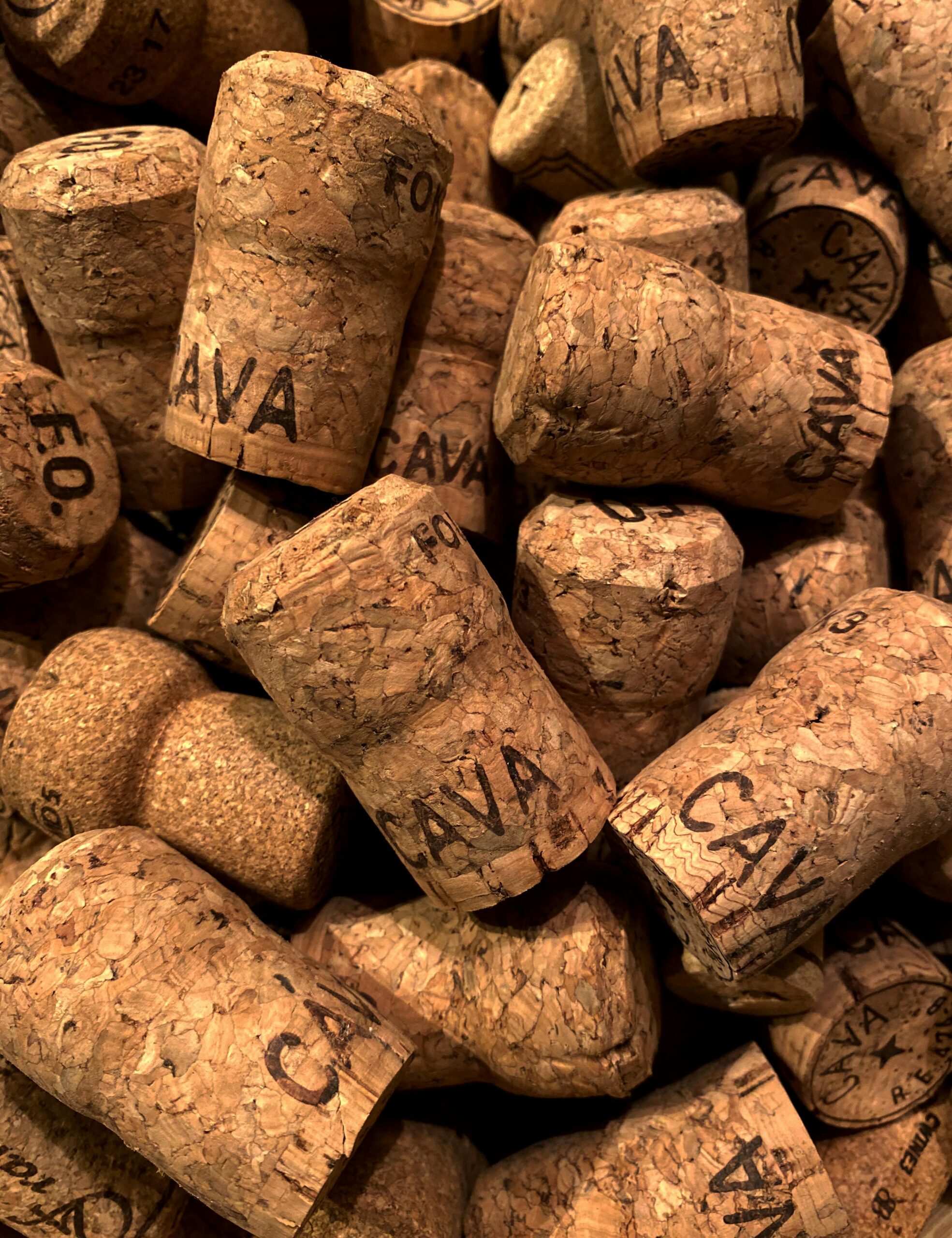 Avinyo Cava Reserva 2017