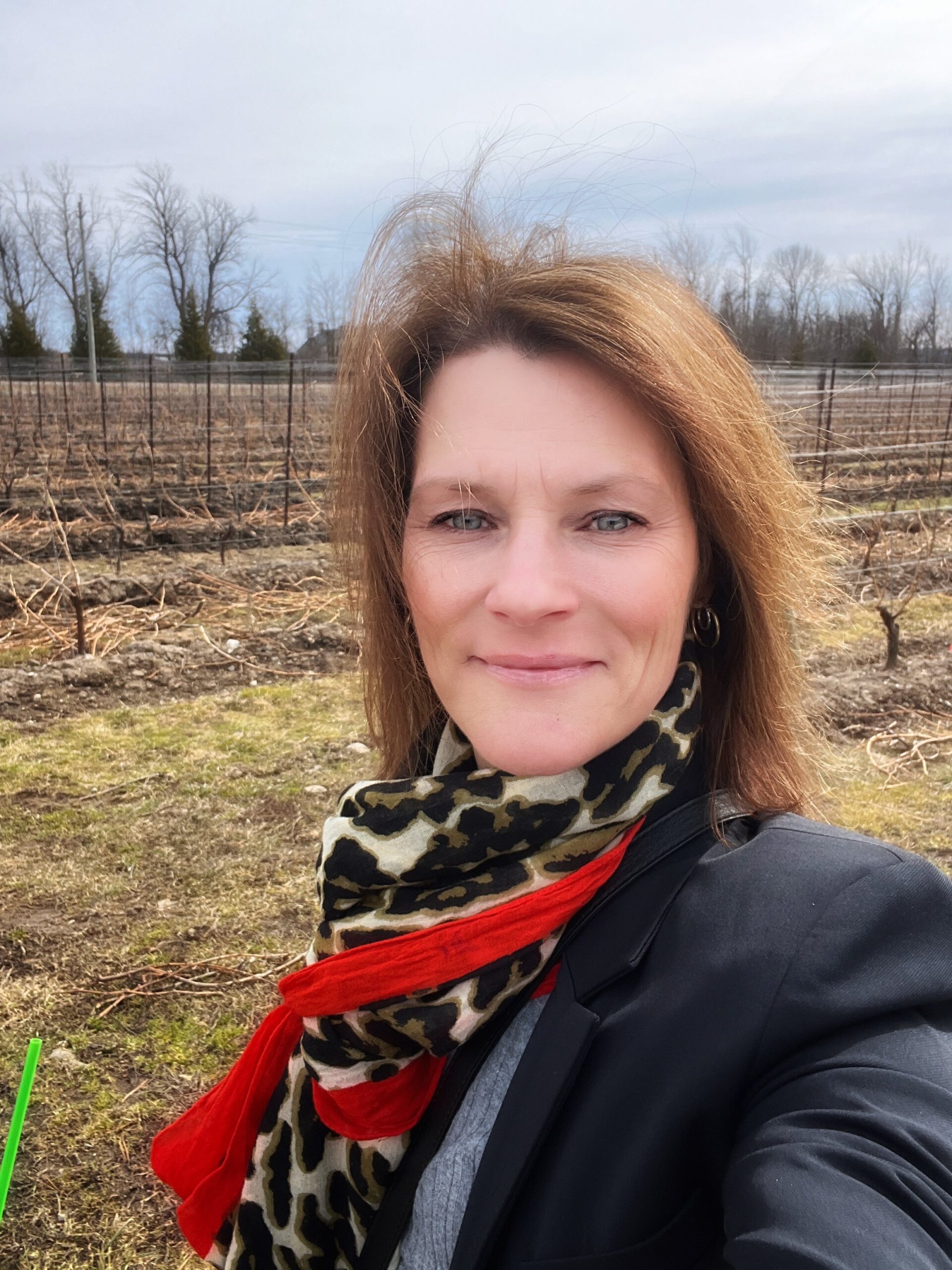 Niagara: More Than Icewine
