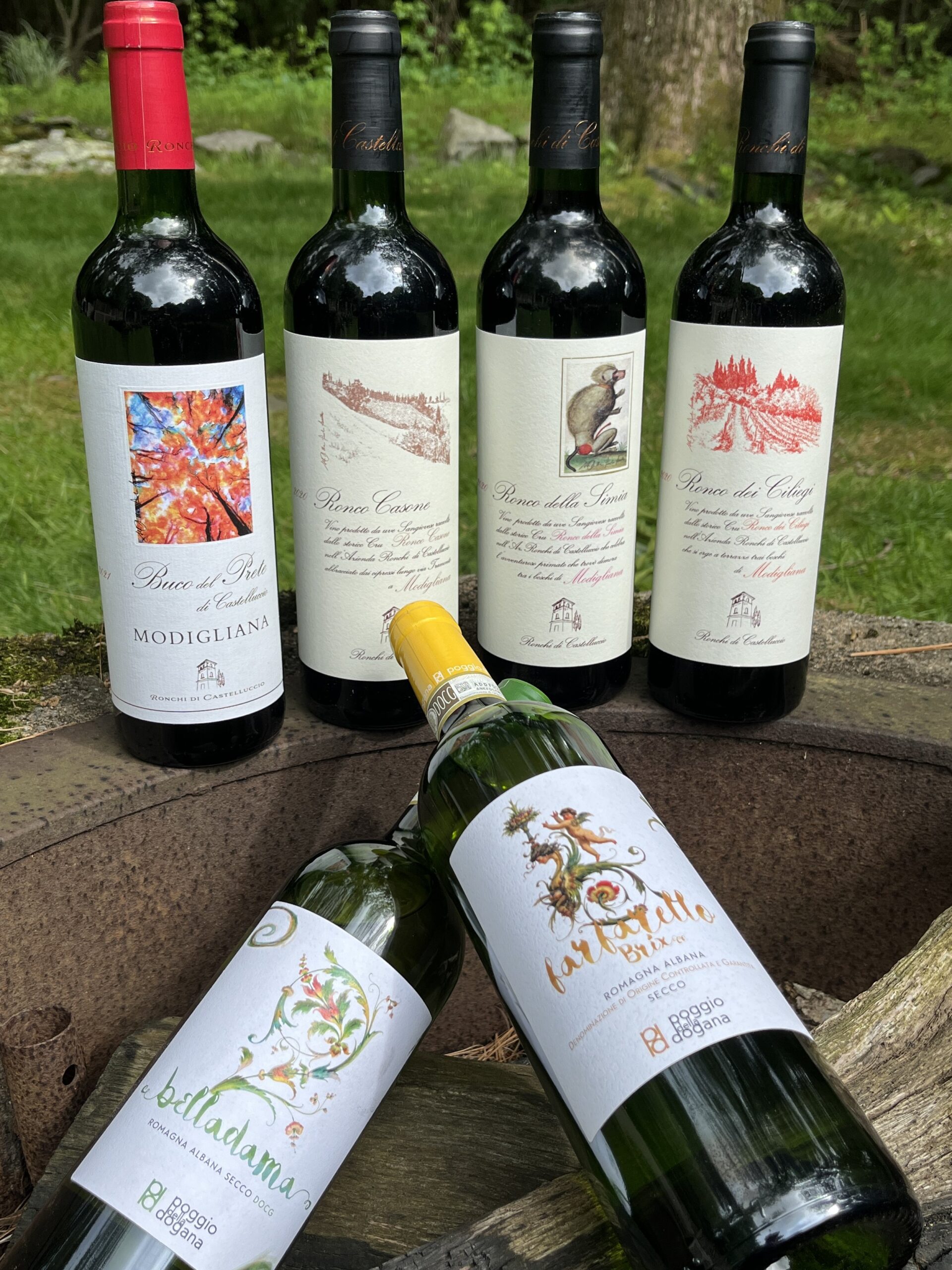 A Virtual Trip to Romagna with Aldo Rametta