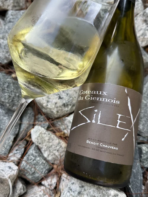 Exceptional Expression Benoit Chauveau Silex