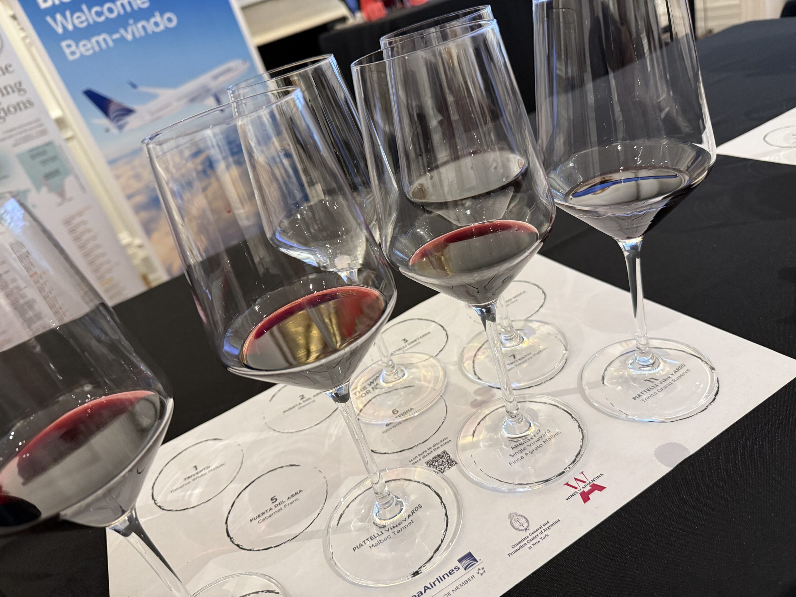 North to South: Argentina’s Wine Odyssey