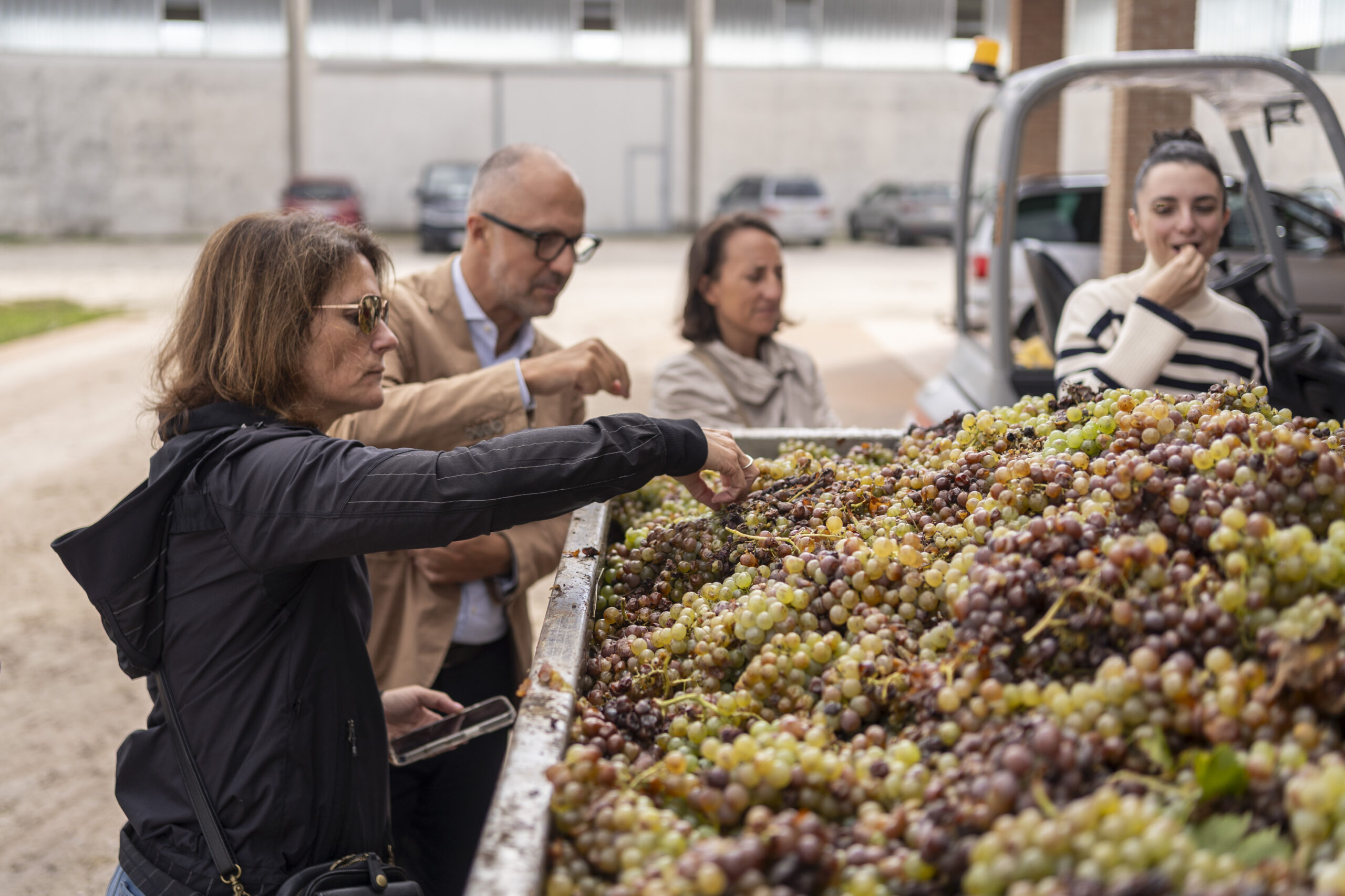 Lugana’s Lingering Sips