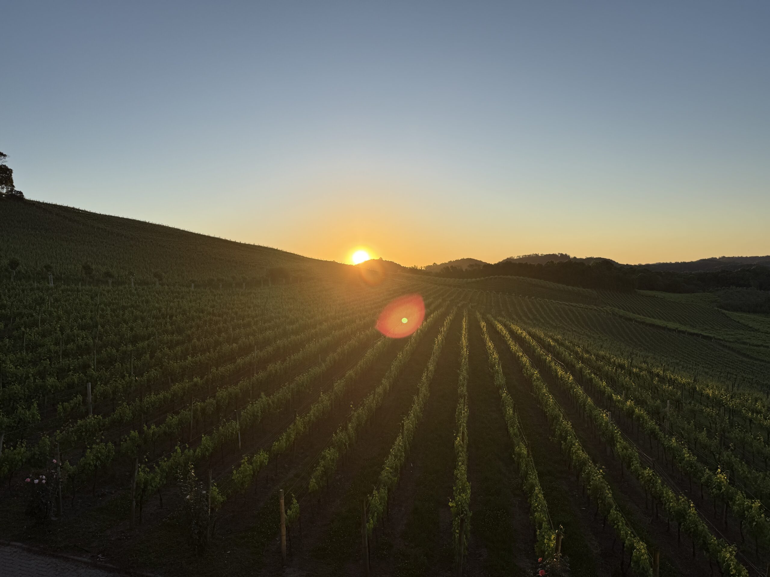 Vale dos Vinhedos: Your Next Wine Pilgrimage at Ales Victoria & Spa do Vinho