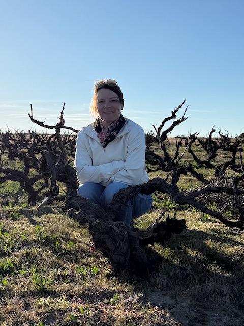 Pleasantly Unanticipated Wonder Of Rueda