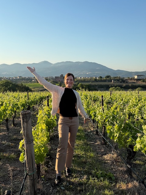Campania Stories: Giorno 3-Coastal Fire, Ancient Wines & the Soul of Falerno