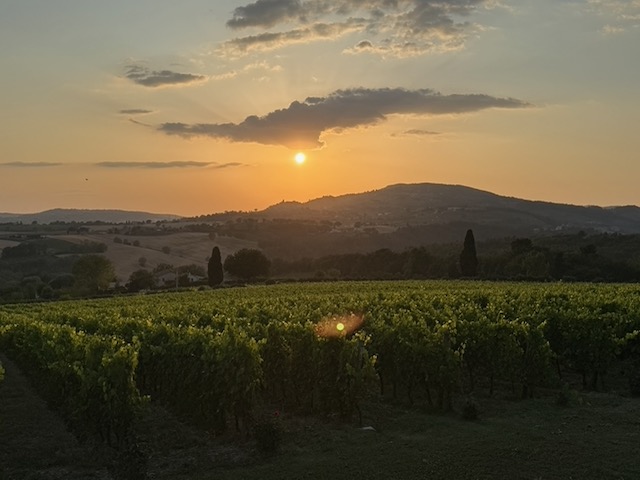 A Montefalco: Where Place, Patience, and Passion Ferment into Memory