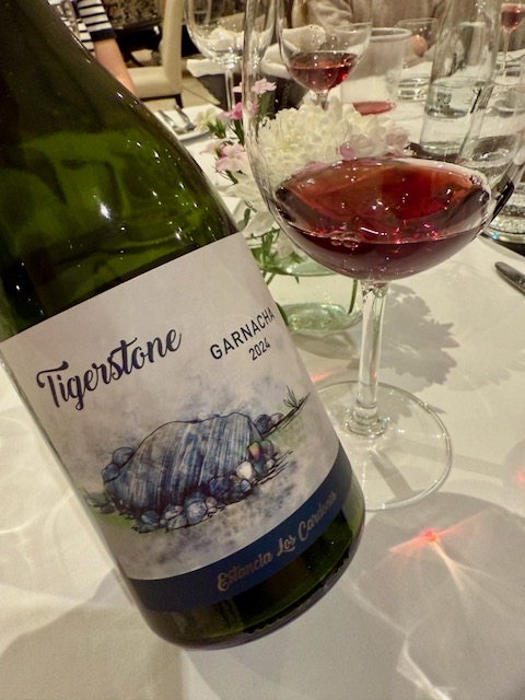 Tigerstone & Thin Air: Alejandro Sejanovich’s High-Altitude Garnacha