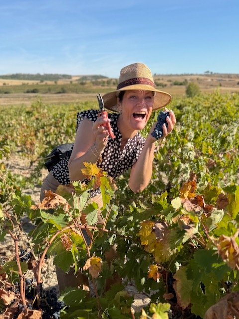 Cigales in Color: A Day at Bodegas Sinforiano